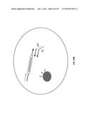 SINGLE CELL BAR-CODING FOR ANTIBODY DISCOVERY diagram and image