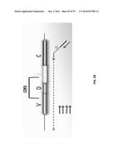 SINGLE CELL BAR-CODING FOR ANTIBODY DISCOVERY diagram and image