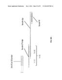 SINGLE CELL BAR-CODING FOR ANTIBODY DISCOVERY diagram and image