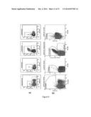 System And Method Of Cytomic Vascular Health Profiling diagram and image