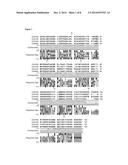 TOOLS AND METHODS FOR EXPRESSION OF MEMBRANE PROTEINS diagram and image