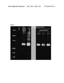 TOOLS AND METHODS FOR EXPRESSION OF MEMBRANE PROTEINS diagram and image