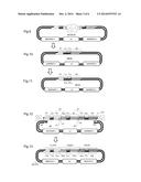 METHOD FOR PRODUCING A NUCLEIC ACID LIBRARY HAVING AT LEAST TWO ADJACENT     VARIABLE CODON TRIPLETS diagram and image