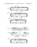 METHOD FOR PRODUCING A NUCLEIC ACID LIBRARY HAVING AT LEAST TWO ADJACENT     VARIABLE CODON TRIPLETS diagram and image