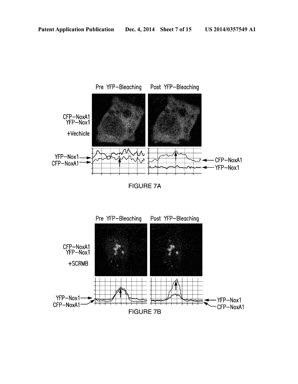 NOVEL INHIBITORS OF NOX1 - diagram, schematic, and image 08