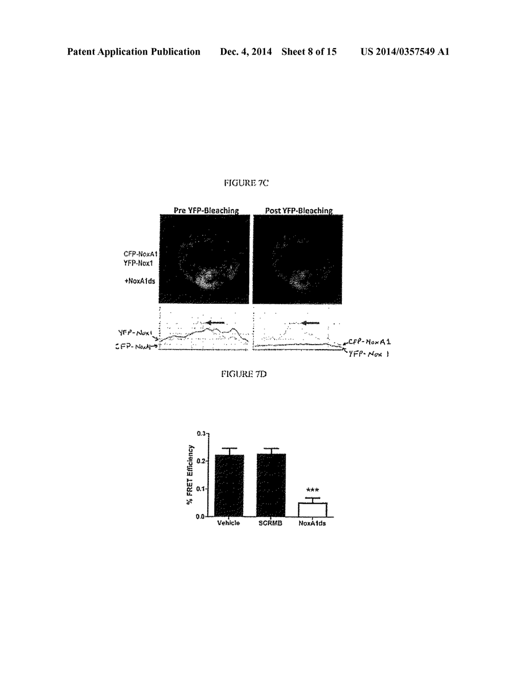 NOVEL INHIBITORS OF NOX1 - diagram, schematic, and image 09