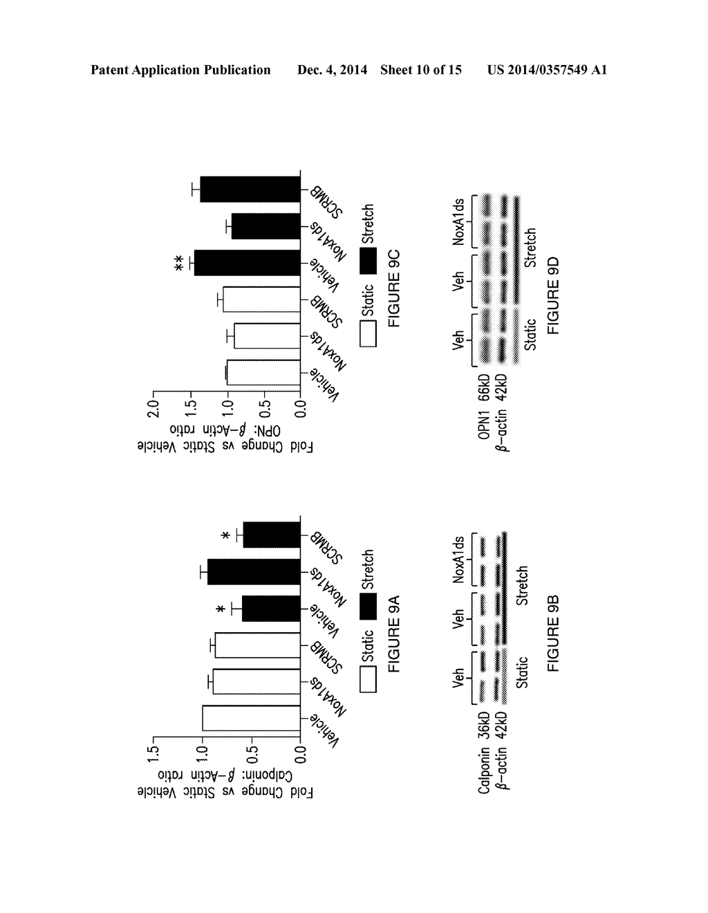 NOVEL INHIBITORS OF NOX1 - diagram, schematic, and image 11