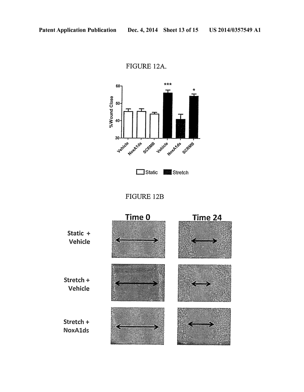 NOVEL INHIBITORS OF NOX1 - diagram, schematic, and image 14