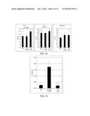 IDENTIFICATION AND MOLECULAR CHARACTERISATION OF PROTEINS, EXPRESSED IN     THE IXODES RICINUS SALIVARY GLANDS diagram and image