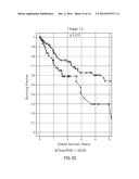 PROGNOSTIC ASSAY FOR SQUAMOUS CELL LUNG CARCINOMA diagram and image