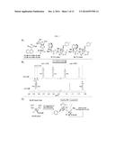 AMINOGLYCOSIDES AND USES THEREOF IN TREATING GENETIC DISORDERS diagram and image