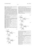 AMINOGLYCOSIDES AND USES THEREOF IN TREATING GENETIC DISORDERS diagram and image