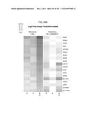 GENE EXPRESSION SIGNATURES OF NEOPLASM RESPONSIVENESS TO THERAPY diagram and image