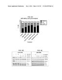 GENE EXPRESSION SIGNATURES OF NEOPLASM RESPONSIVENESS TO THERAPY diagram and image