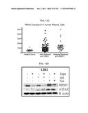 GENE EXPRESSION SIGNATURES OF NEOPLASM RESPONSIVENESS TO THERAPY diagram and image