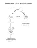 GENE EXPRESSION SIGNATURES OF NEOPLASM RESPONSIVENESS TO THERAPY diagram and image