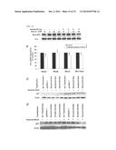 Stearate Compounds diagram and image