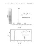 ANTIMICROBIAL COMPOUNDS AND METHODS OF USE diagram and image