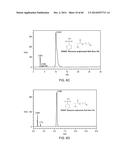 ANTIMICROBIAL COMPOUNDS AND METHODS OF USE diagram and image