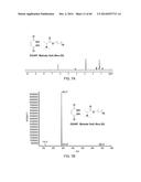 ANTIMICROBIAL COMPOUNDS AND METHODS OF USE diagram and image