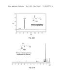 ANTIMICROBIAL COMPOUNDS AND METHODS OF USE diagram and image