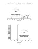 ANTIMICROBIAL COMPOUNDS AND METHODS OF USE diagram and image