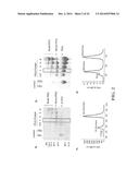 THYROID STIMULATING HORMONE COMPOSITIONS diagram and image