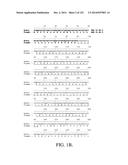 NUCLEIC ACID ENCODING ANTIGEN BINDING PROTEINS TO PROPROTEIN CONVERTASE     SUBTILISIN KEXIN TYPE 9 (PCSK9) diagram and image