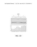 NUCLEIC ACID ENCODING ANTIGEN BINDING PROTEINS TO PROPROTEIN CONVERTASE     SUBTILISIN KEXIN TYPE 9 (PCSK9) diagram and image