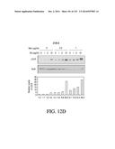 NUCLEIC ACID ENCODING ANTIGEN BINDING PROTEINS TO PROPROTEIN CONVERTASE     SUBTILISIN KEXIN TYPE 9 (PCSK9) diagram and image