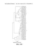 NUCLEIC ACID ENCODING ANTIGEN BINDING PROTEINS TO PROPROTEIN CONVERTASE     SUBTILISIN KEXIN TYPE 9 (PCSK9) diagram and image