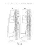 NUCLEIC ACID ENCODING ANTIGEN BINDING PROTEINS TO PROPROTEIN CONVERTASE     SUBTILISIN KEXIN TYPE 9 (PCSK9) diagram and image