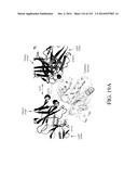 NUCLEIC ACID ENCODING ANTIGEN BINDING PROTEINS TO PROPROTEIN CONVERTASE     SUBTILISIN KEXIN TYPE 9 (PCSK9) diagram and image