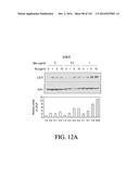 NUCLEIC ACID ENCODING ANTIGEN BINDING PROTEINS TO PROPROTEIN CONVERTASE     SUBTILISIN KEXIN TYPE 9 (PCSK9) diagram and image