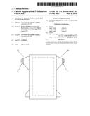 ABSORBENT ARTICLE WITH ELASTICALLY ELONGATABLE PANEL diagram and image