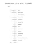 SYSTEM AND METHOD FOR SURVEILLANCE AND EVALUATION OF SAFETY RISKS     ASSOCIATED WITH MEDICAL INTERVENTIONS diagram and image