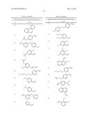 BODIPY STRUCTURE FLUORESCENCE PROBES FOR DIVERSE BIOLOGICAL APPLICATIONS diagram and image