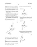 BODIPY STRUCTURE FLUORESCENCE PROBES FOR DIVERSE BIOLOGICAL APPLICATIONS diagram and image