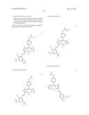 BODIPY STRUCTURE FLUORESCENCE PROBES FOR DIVERSE BIOLOGICAL APPLICATIONS diagram and image