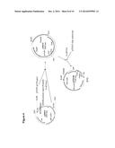 SEED-SPECIFIC PROMOTER IN COTTON diagram and image