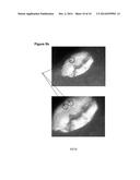 SEED-SPECIFIC PROMOTER IN COTTON diagram and image