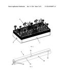 PLANTER BOX, MULTIPURPOSE DIACOLATION PIPE AND METHOD FOR SOIL DRAINAGE     AND IRRIGATION diagram and image