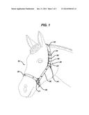 ADJUSTABLE HALTER diagram and image