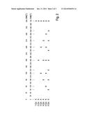 CAMSHAFT POSITION PULSE-GENERATING WHEEL AND METHOD AND DEVICE     FORASCERTAINING A CAMSHAFT POSITION diagram and image