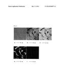 Fe-Pt-Ag-C-Based Sputtering Target Having C Grains Dispersed Therein, and     Method for Producing Same diagram and image