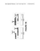 TRENCH SHIELD CONNECTED JFET diagram and image