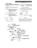 COMPACT EYE-TRACKED HEAD-MOUNTED DISPLAY diagram and image