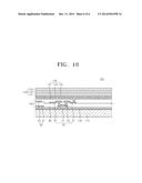 ORGANIC LIGHT-EMITTING DIODE DISPLAY diagram and image