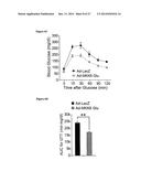 Methods and Compositions for Promoting Glucose Homeostasis diagram and image