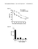 Methods and Compositions for Promoting Glucose Homeostasis diagram and image